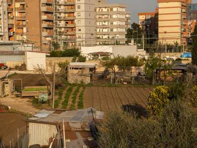 ...� possibile  osservare un appezzamento di terreno su cui � presente un recinto circondato da bassi alberi. Fin qui tutto normale se non fosse che all�interno di quella gabbia si trovano una serie di animali non propriamente �made in Italy�